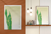 6 House Plants | Botanical Bundle, a Decorative Illustration by Lines And Crafts (Thumbnail 4 of 7)