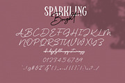 Sparkling Bright - Beauty Font Duo, a Serif Font by Dm Studio (Thumbnail 9 of 10)