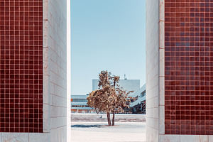 Red Tiled Portal Framing a Lone Tree, an Architecture Photo by SkyNext
