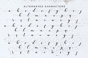 Blessed Youth Script, a Script Font by Artic Type (Thumbnail 7 of 9)