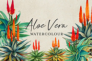 Watercolor Aloe Vera, a Decorative Illustration by Karliefie (Thumbnail 1 of 4)