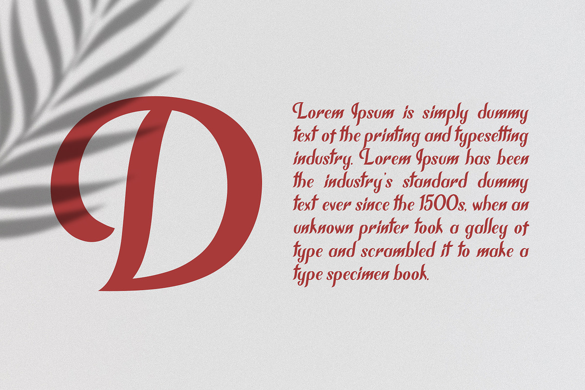 Chameron Modern Serif preview 4