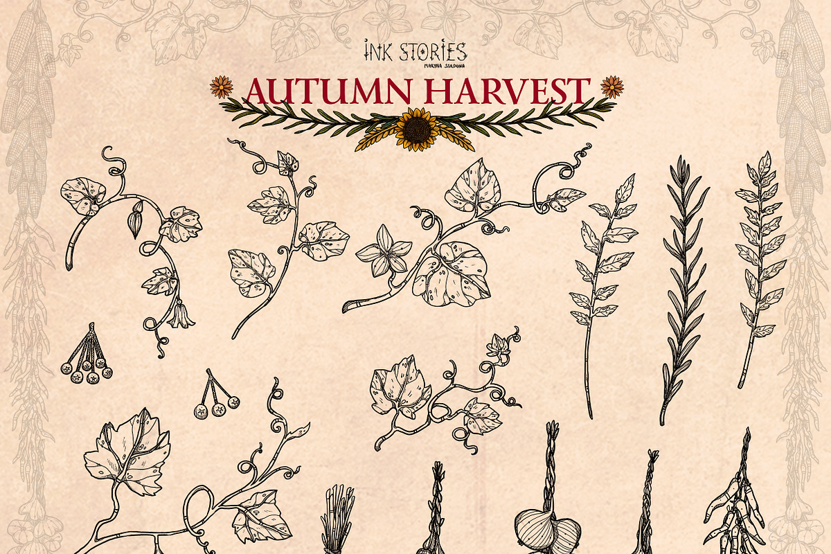 Autumn Harvest, a Seasonal Illustration by Ink Stories (Photo 8 of 26)