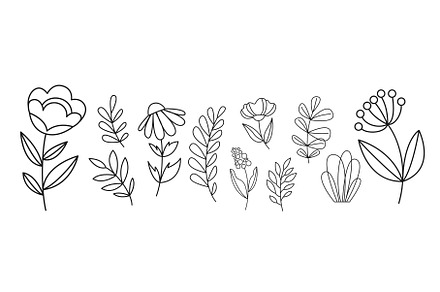 Flower line vector illustration