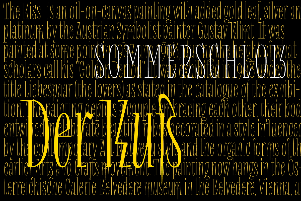 Repyakh Serif type family, a Serif Font by LevType (Photo 11 of 14)