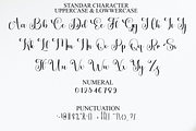 Solitude, a Handwritten Font by FreshTypeINK (Thumbnail 6 of 8)
