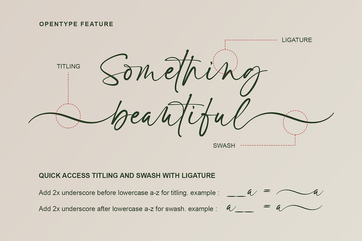 Cantiqu Stand | Handwritten Font, a Script Font by Lemonthe (Photo 4 of 6)