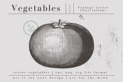 Vintage Bundle 2500+ Free Update, an Animal Illustration by Retro Machine (Thumbnail 136 of 170)