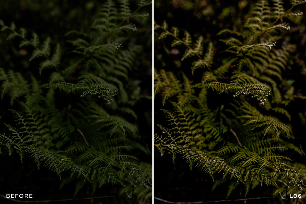 15 Leica Lightroom Presets, a Preset Add-On by Lavinsky Art Store (Photo 12 of 16)