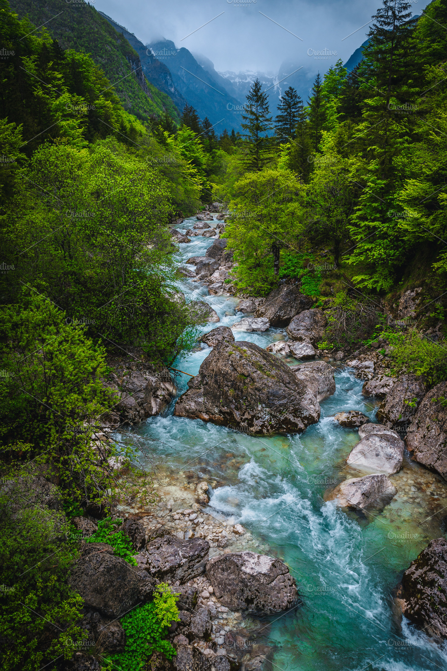 Spectacular Soca river in the forest, a Nature Photo by Alpine Dreams