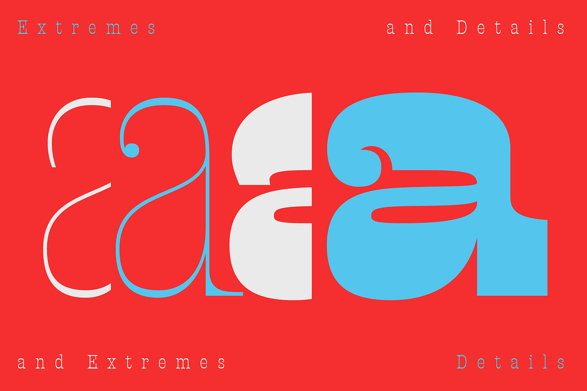 Presley Slab, a Font by Sudtipos (Photo 6 of 6)