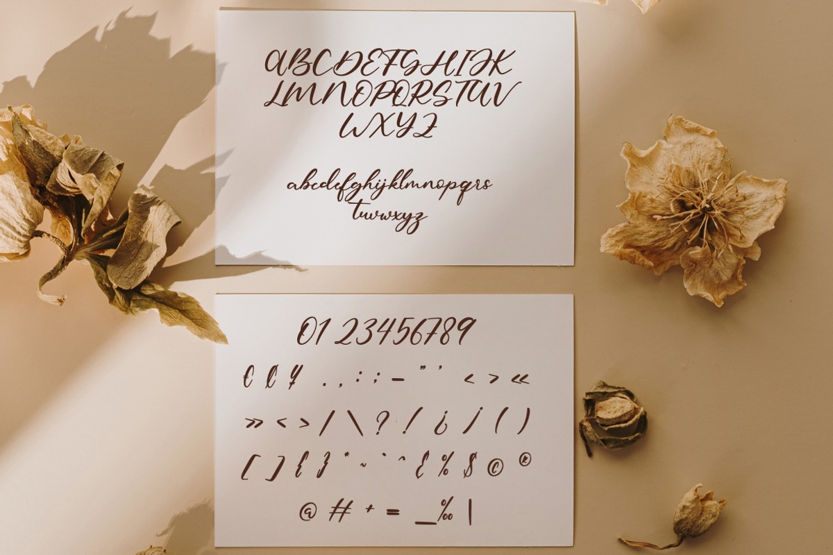 Fratulsiv - Luxury Script Font, a Script Font by Dhabee (Photo 3 of 15)