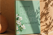 Barleto-A true single line, a Sans Serif Font by Lemon Studio Type (Thumbnail 5 of 5)
