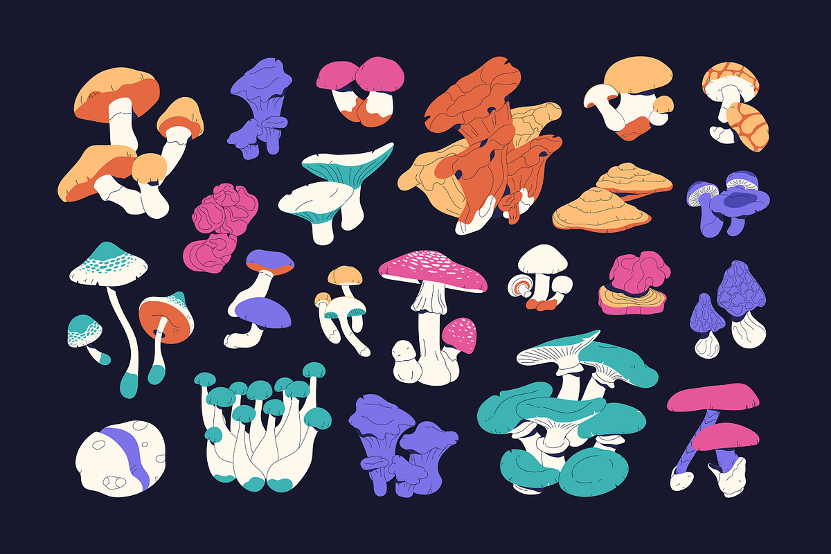 Forest mushrooms, fungi set, pattern, a Food Illustration by PaperTrident (Photo 2 of 6)