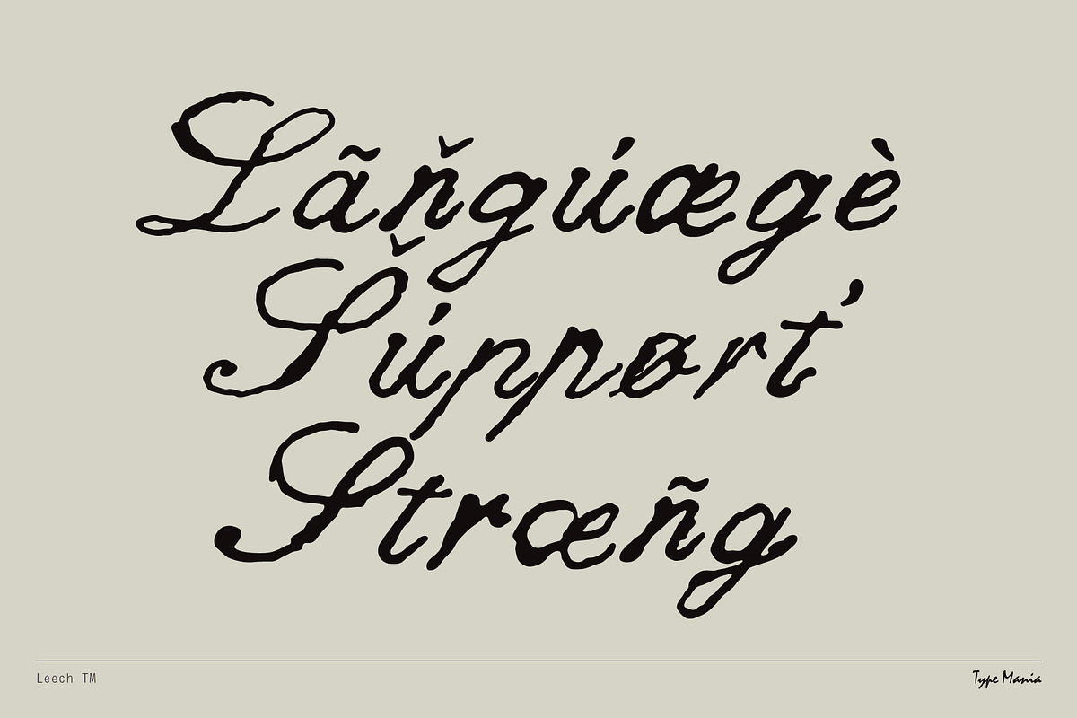 Leech TM – Romantic Script, a Script Font by Type Mania (Photo 8 of 10)
