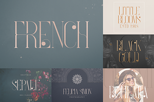 Bestseller Font Collection Vol2