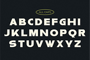 Thick - Ultra Condensed Sans Serif, a Sans Serif Font by Pian45 Studio (Thumbnail 2 of 9)