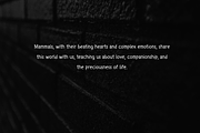 Mamallia - Handwriting font, a Handwritten Font by portype (Thumbnail 6 of 6)