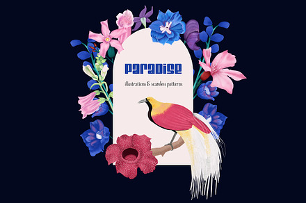 Paradise set cliparts & patterns