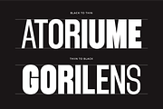 Fujecka - Condensed Sans Family Font, a Sans Serif Font by Flawless And Co (Thumbnail 4 of 10)