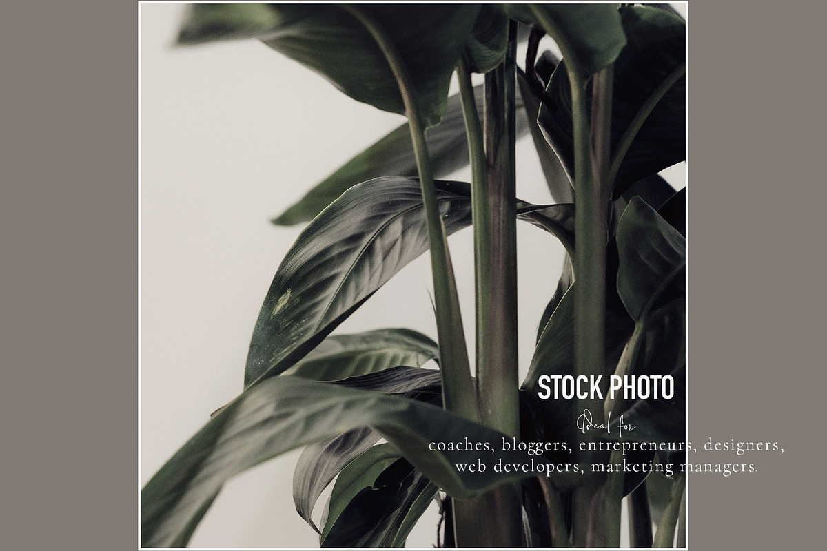 Minimalism. Feed №11, a Social Media Template by OntheMoon (Photo 4 of 10)