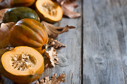 Decorative pumpkins stock photo containing fall and autumn
