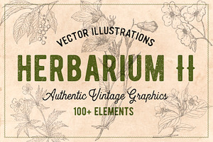 100 Vintage Leaves & Branches 2