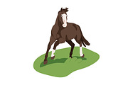 Horses, equine animals running set, an Animal Illustration by Good Studio (Thumbnail 3 of 13)