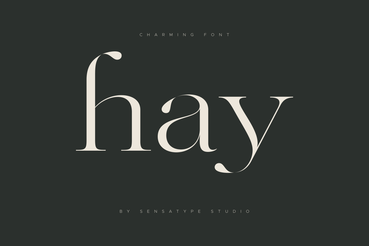 Charming - Classy & Decorative Font, a Serif Font by Sensatype (Photo 4 of 21)