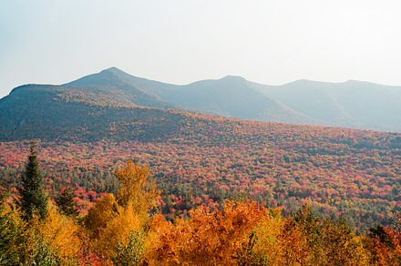 Rolling Hills of Foliage