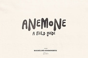 SeaFlower | Hand Drawn Surf Font, a Handwritten Font by Madeline ODonoghue Design (Thumbnail 9 of 12)