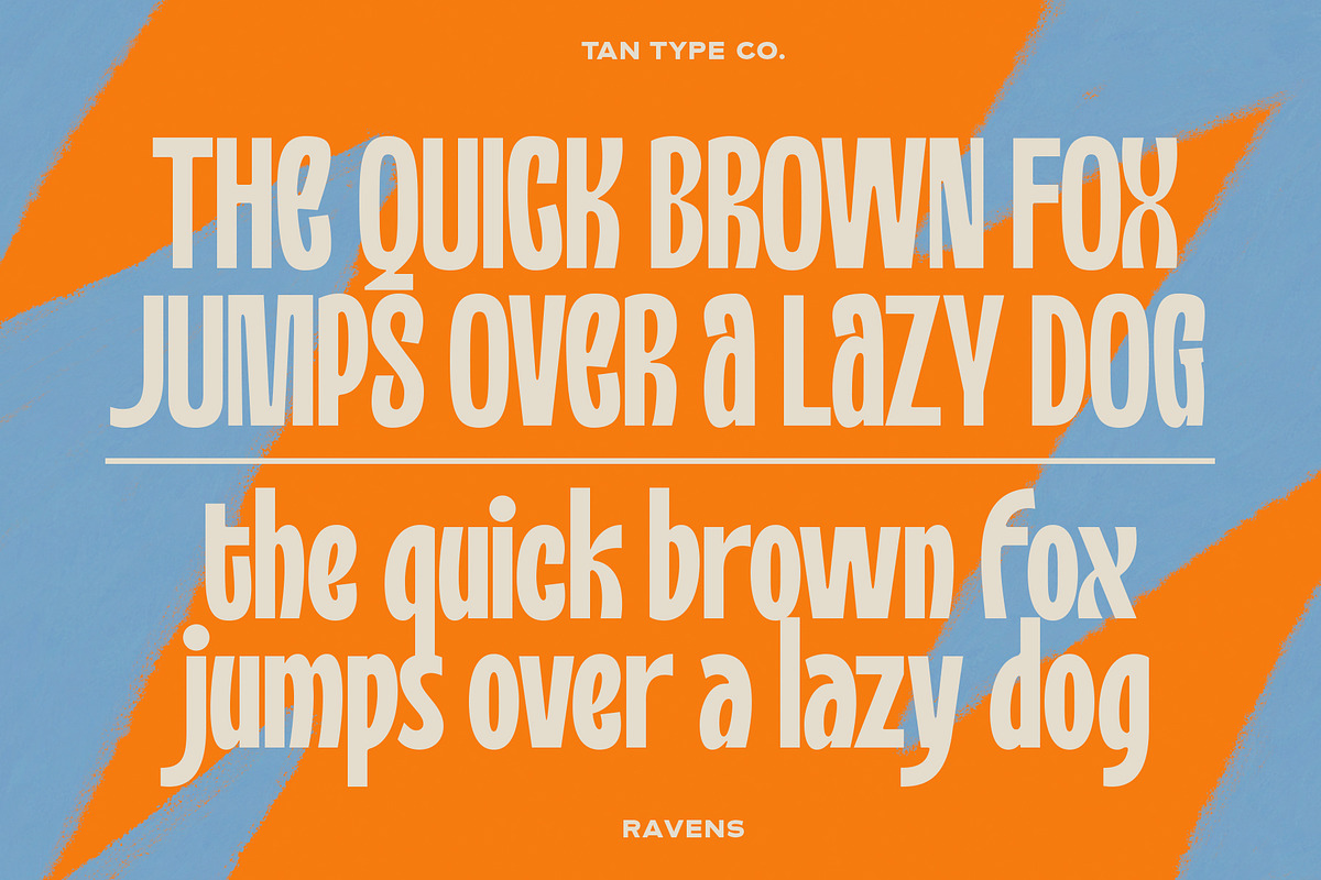 TAN - RAVENS, a Serif Font by TanType (Photo 9 of 11)