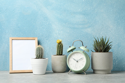 Succulent plants, clock and frame against blue background, space, a Nature Photo by AtlasStudio