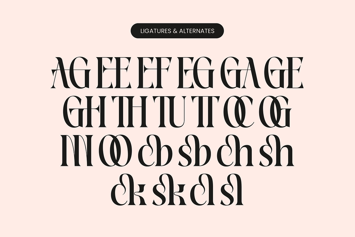 Magoth Modern Serif Display Font, a Serif Font by timelesstype.co (Photo 18 of 20)