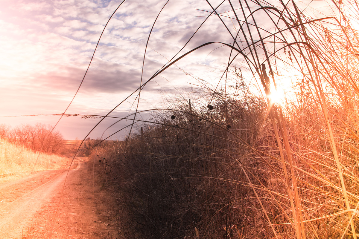 15 Light Leaks Presets preview 3
