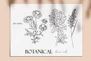 Botanical hand - drawn line art, an Illustration by velychko.ua (Thumbnail 6 of 6)