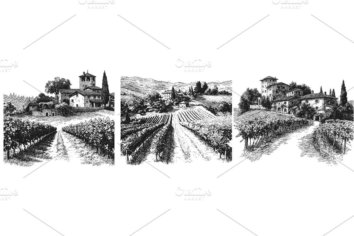 Vineyards engraving set. Vineyard, an Animal Illustration by Stock-Smart-Start