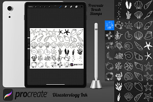 Seashells Sealife Set 1 Procreate