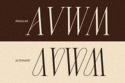 Charnoir - Modern Elegant Luxury, a Serif Font by Qweera Studio (Thumbnail 7 of 12)