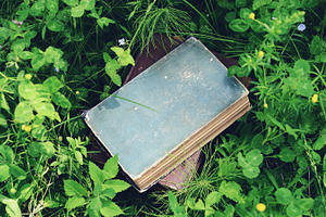 Books featuring books, summer, and reading