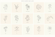 Birth-Flowers. Trendy Plants, Logos, a Seasonal Illustration by Designwork (Thumbnail 6 of 21)