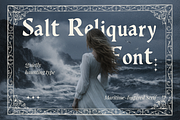 Salted Reliquary Dark Display Serif, a Serif Font by foxsong (Thumbnail 1 of 5)