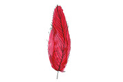 Colorful Feathers Pattern, a Background Graphic by Livi's Goodies (Thumbnail 2 of 4)