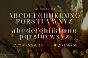 Magins Vintage Serif Font, a Serif Font by Graphicxell (Thumbnail 8 of 8)