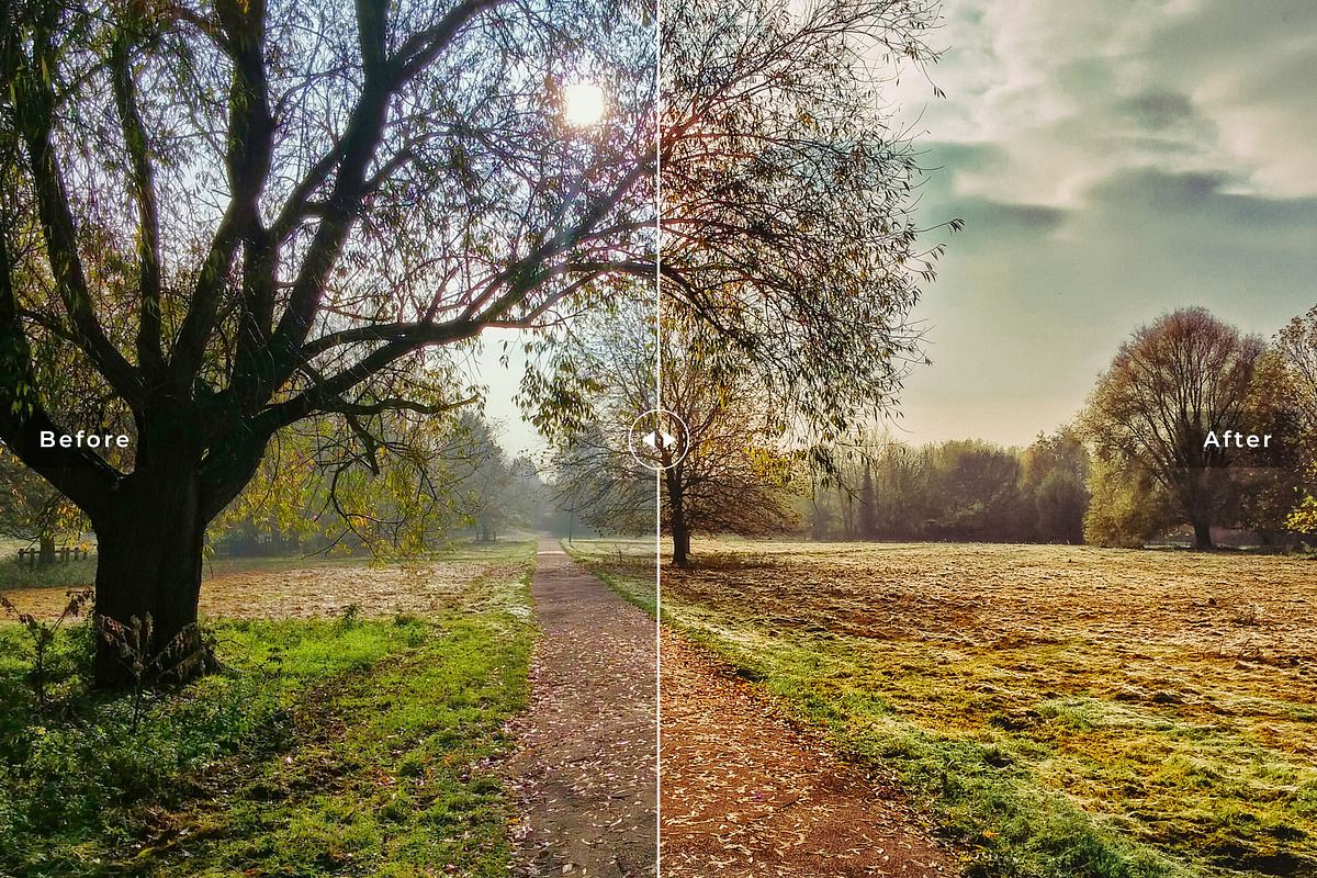 Nature Lightroom Presets Collection preview 3