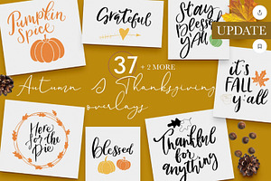 Autumn lettering and illustrations