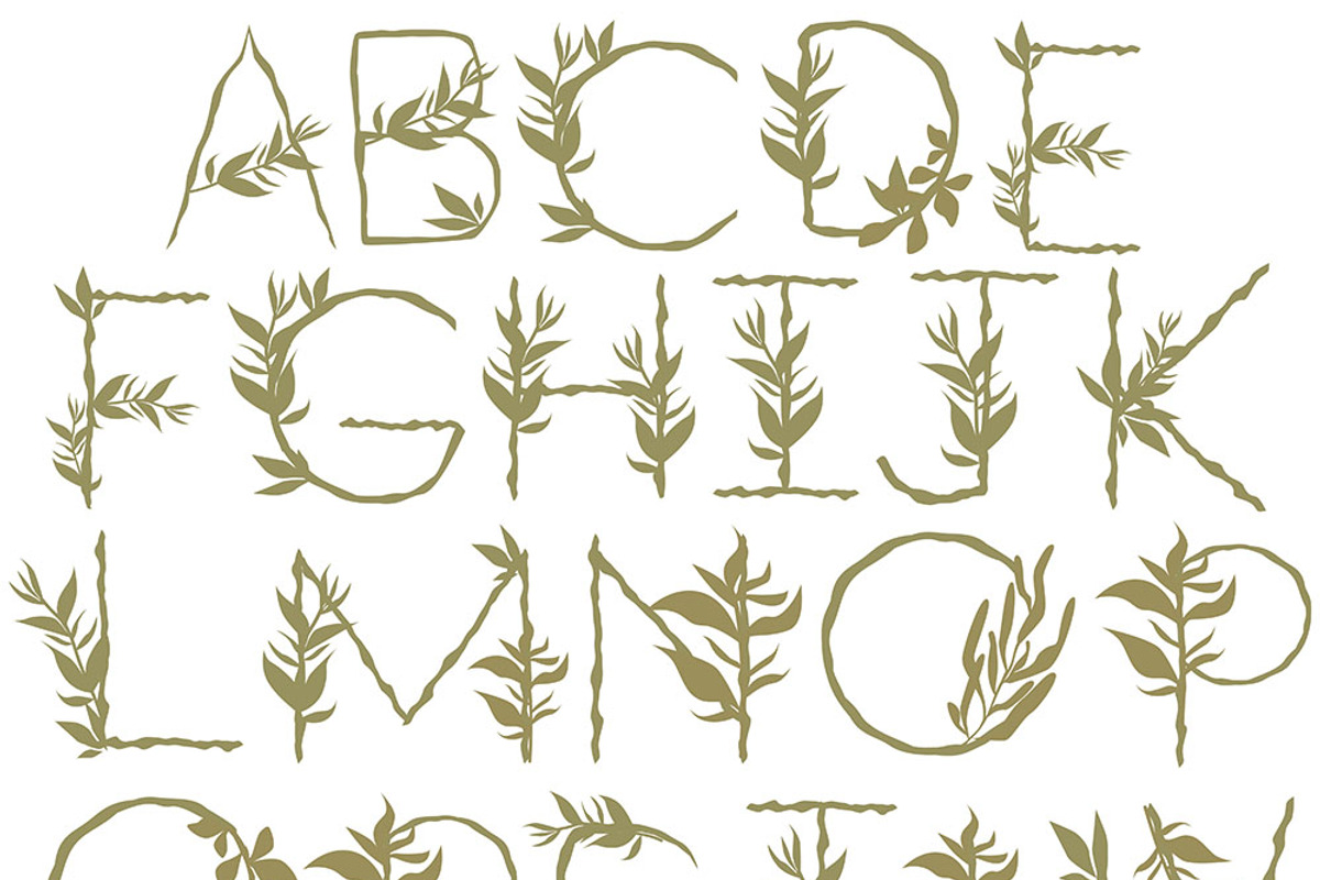 Goose + BONUS 80 elements, a Pattern Graphic by Lineli (Photo 3 of 13)