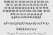 Aexori - Serif Font Family, a Serif Font by NDNL Studio (Thumbnail 12 of 12)