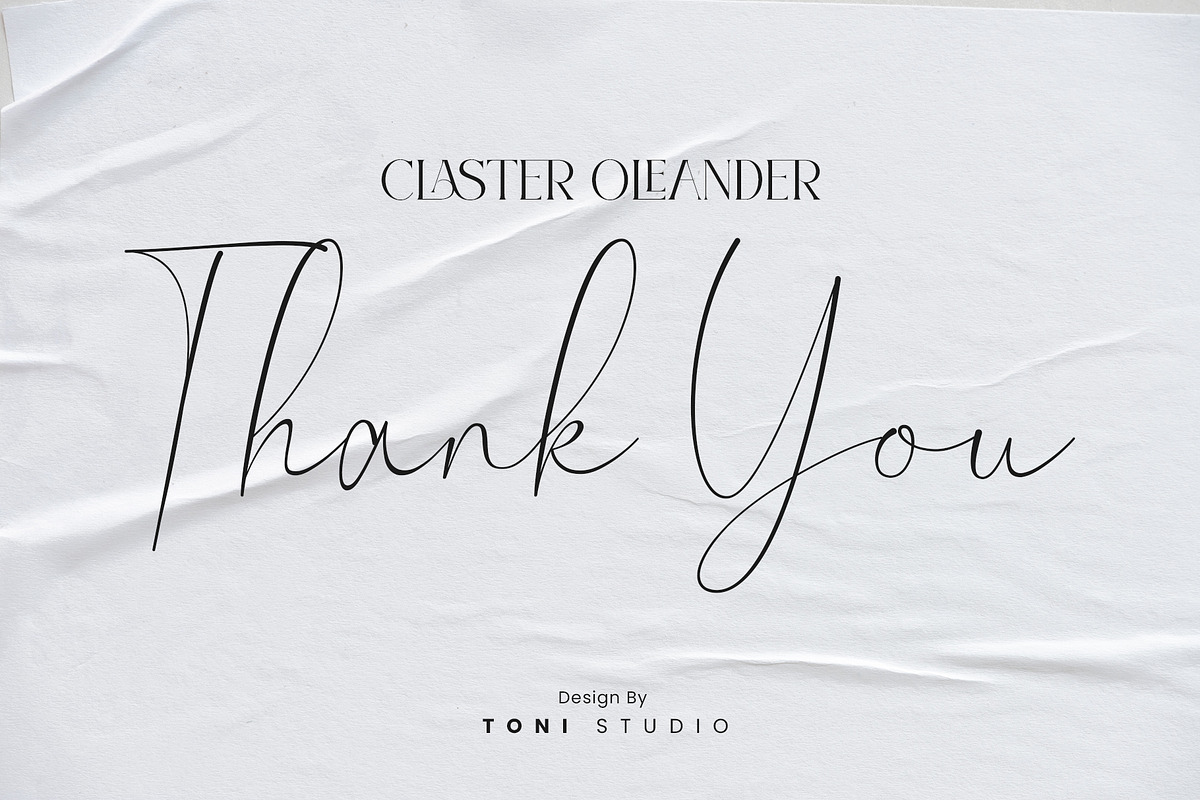 Claster Oleander, a Font by ToniStudio (Photo 11 of 11)