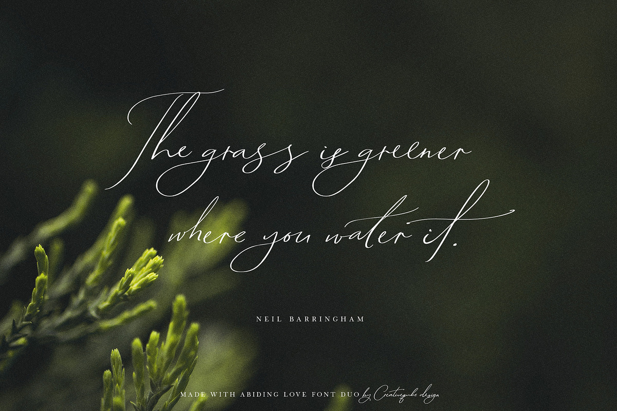 Abiding Love Collection Fonts preview 8